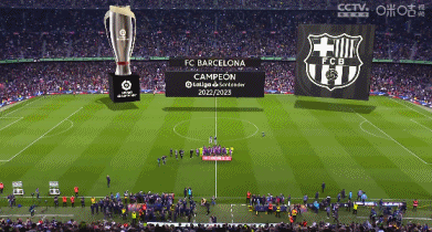 [中超]中超联赛重燃战火 上海申花赢得榜首大战独自领跑